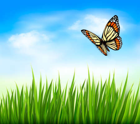 Nature background with green grass and butterfly and blue sky. Vector のイラスト素材