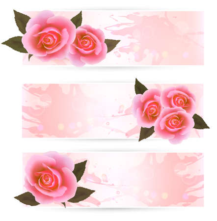 Three holiday banners with pink beautiful roses. Vector のイラスト素材
