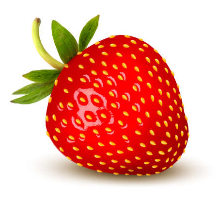 Strawberry. Vector.のイラスト素材