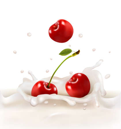 Red cherries fruits falling into the milky splash. Vector illustration のイラスト素材