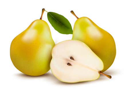 Fresh pears isolated on white.のイラスト素材