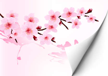 Spring background with a blossoming sakura branch. Vector illustration. のイラスト素材