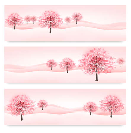 Three spring banners with blossoming sakura trees. Vector. のイラスト素材