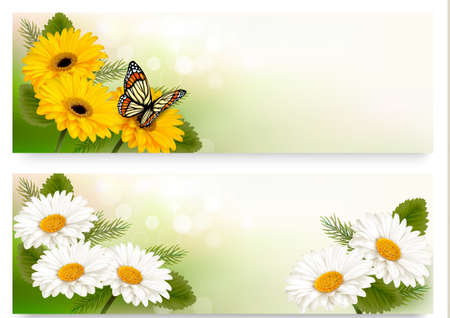 Summer banners with colorful flowers and butterfly. Vector.のイラスト素材