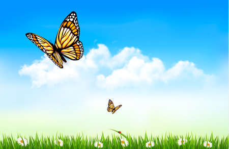 Autumn background with leaves. Vectorのイラスト素材