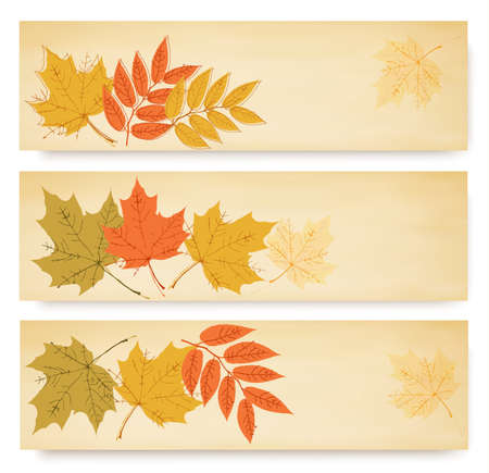 Three autumn banners with color leaves のイラスト素材