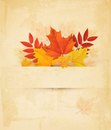 Autumn background with leaves. Vector. のイラスト素材