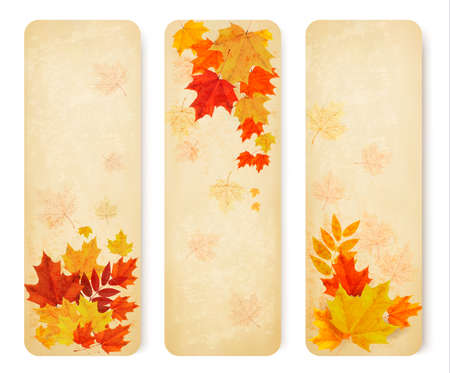 Three abstract autumn banners with color leaves. Vectorのイラスト素材