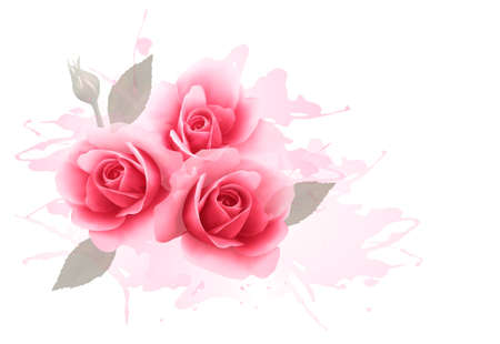 Holiday gift cardl with three pink roses. Vector.のイラスト素材