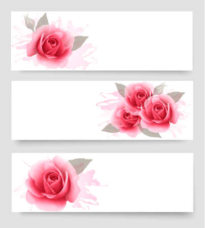 Three banners with pink roses. Vector.のイラスト素材