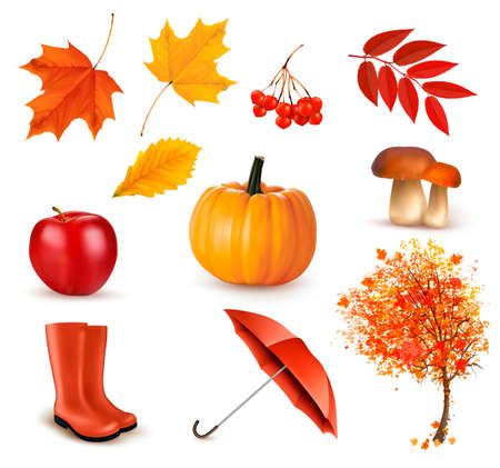 Set of autumn-themed objects. Vectorのイラスト素材