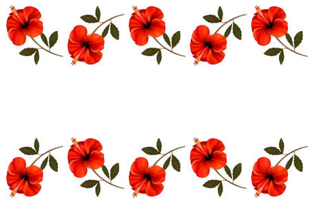 Background with a border of red flowers.のイラスト素材