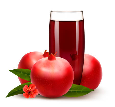 Glass of pomegranate juice with fruit. Vector.のイラスト素材