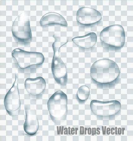 Drops of water on a transparent background. Vector.のイラスト素材