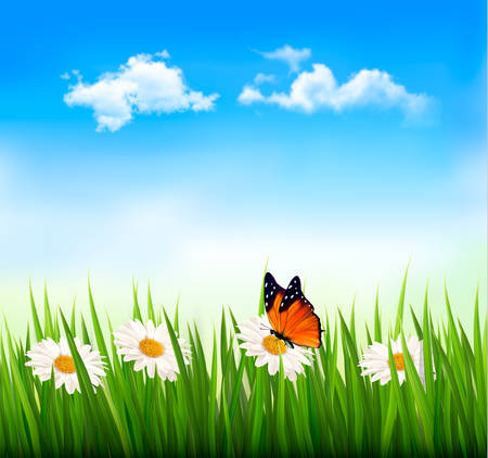 Nature background with green grass, flowers and a butterfly. Vector.のイラスト素材
