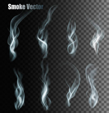 Set Of Transparent Different Smoke Vectors.のイラスト素材