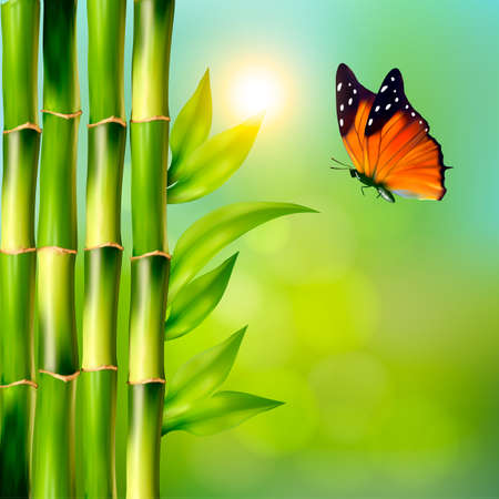 Spa background with bamboo and butterfly.Vectorのイラスト素材