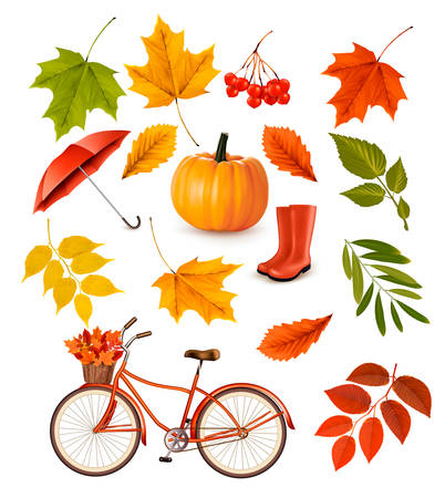 Set of colorful autumn leaves and objects. Vector illustration.のイラスト素材