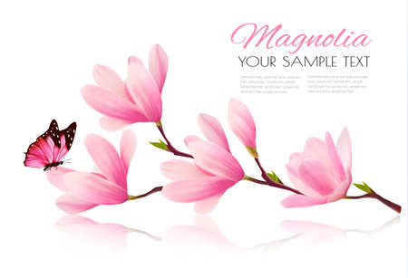 Flower background with blossom branch of pink magnolia and butterfly. Vectoのイラスト素材