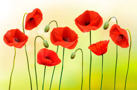 Green poppy background. Vector.のイラスト素材