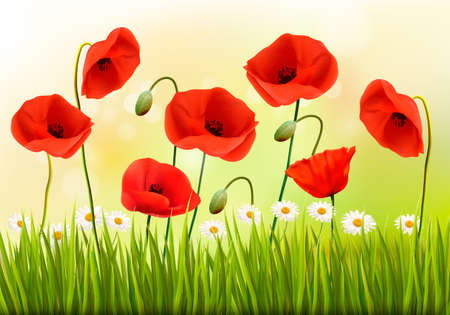 Green poppy background. Vector.のイラスト素材