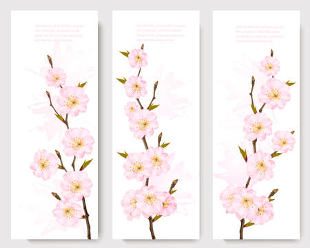 Beautiful sakura branch banners.のイラスト素材