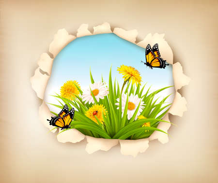 Hole in paper revealing a spring background.のイラスト素材