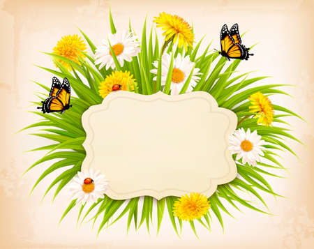 Spring banner with grass, flowers and butterflies.のイラスト素材