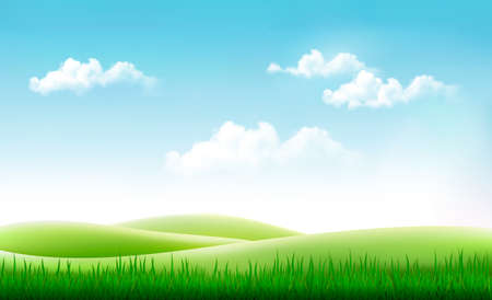 Nature summer background with green grass and blue sky. Vectorのイラスト素材