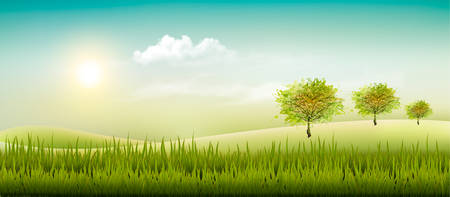 Beautiful summer countryside landscape background. Vector.のイラスト素材