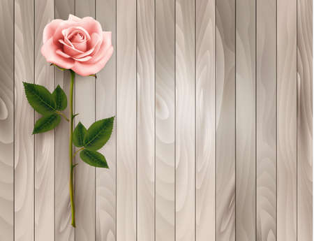 Single pink rose on an old wooden background. Vector.のイラスト素材