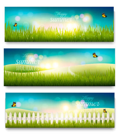 Three beautiful summer meadow landscape banners with butterflies. Vector.のイラスト素材
