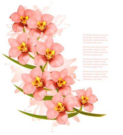 Group of beautiful pink orchid flowers. Vector.のイラスト素材
