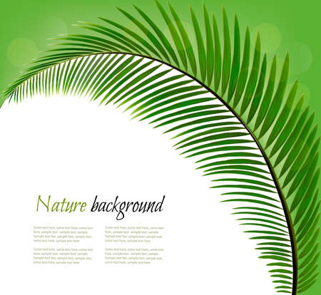 Nature background with a palm leaf. Vectorのイラスト素材