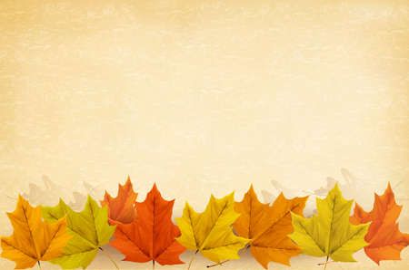 Autumn background with leaves and old paper. Vector illustrationのイラスト素材