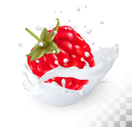 Juicy raspberry in a milk splash on a transparent background. Vector.のイラスト素材