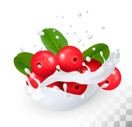 Cranberry in a milk splash on a transparent background. Vector icon.のイラスト素材