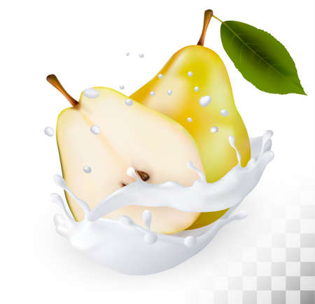 Ripe yellow pears in a milk splash on a transparent background. Vector.のイラスト素材