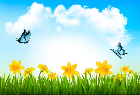 Nature background with green grass, flowers and a butterfly. Vector.のイラスト素材
