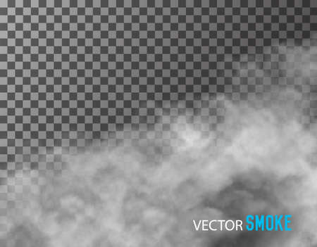 Smoke vector on transparent background.のイラスト素材