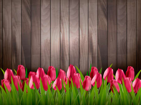 Nature spring background with red tulips on wooden sign. Vector.のイラスト素材