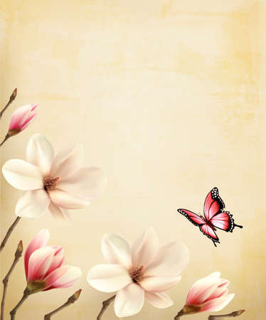 Spring background with beautiful magnolia branches on old paper. Vector.のイラスト素材