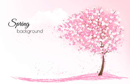 Spring nature background with a pink blooming sakura tree. Vector.のイラスト素材