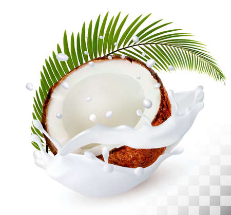 Coconut in a milk splash on a transparent background. Vector.のイラスト素材