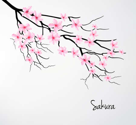Beautiful romantic card with sakura branch. Vectorのイラスト素材