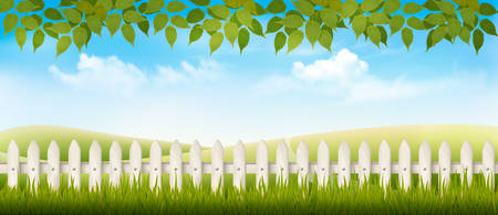 Beautiful summer countryside landscape background. Vector.のイラスト素材