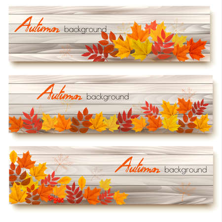 Set of three vector banners with colorful autumn leaves.のイラスト素材