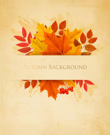 Vintage nature autumn background with colorful leaves Vectorのイラスト素材