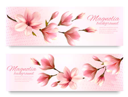 Nature spring banners with beautiful magnolia branches. Vector.のイラスト素材