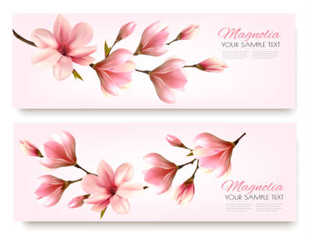 Nature spring banners with beautiful magnolia branches. Vector.のイラスト素材
